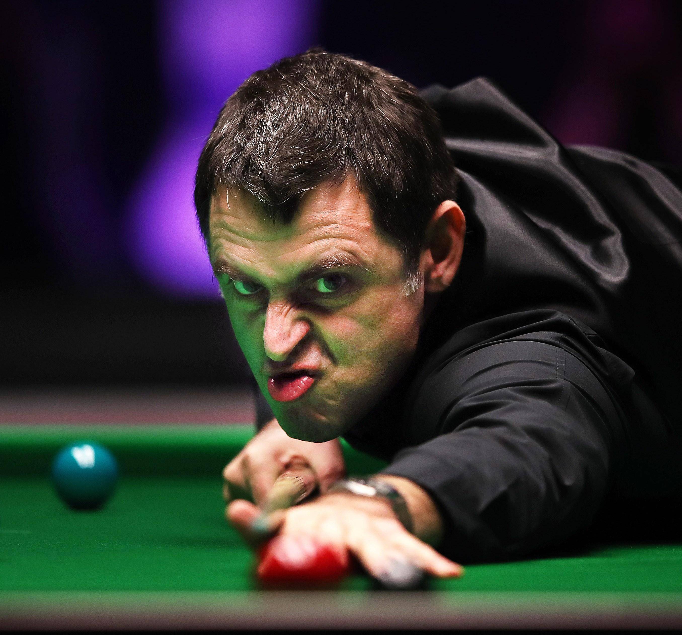 豪门林立的 豪门林立的